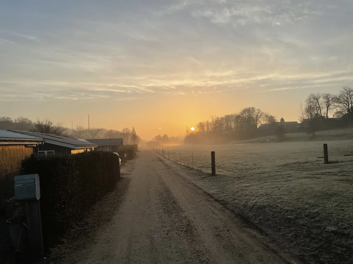 En frostklar vintermorgen med dis over engområdet ved haveforeningen